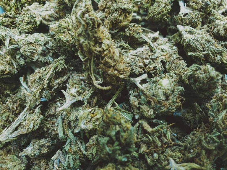 Glaukom – Einsatz von Cannabis zur Senkung des Augeninnendrucks