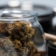 Cannabis kaufen in Frankfurt am Main – Apotheke, Growshop oder Eigenanbau im Vergleich
