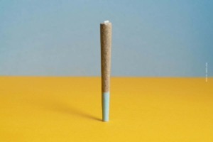 Cannabis kaufen in Hamburg – Apotheke, Growshop oder Eigenanbau im Vergleich