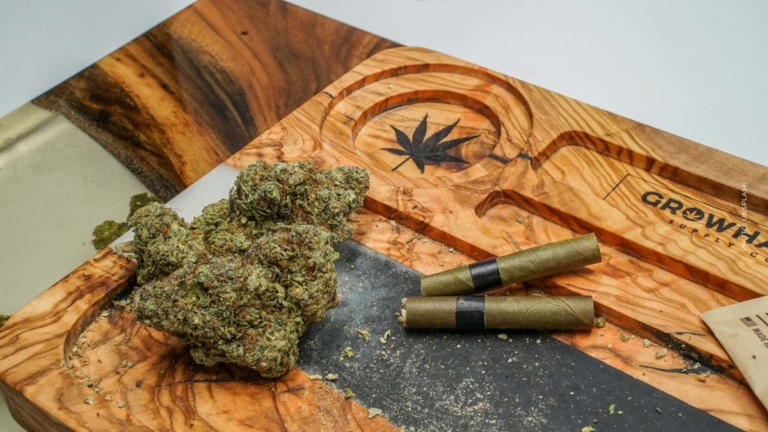 Cannabis kaufen in Duisburg – Apotheke, Growshop oder Eigenanbau im Vergleich