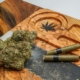 Cannabis kaufen in Duisburg – Apotheke, Growshop oder Eigenanbau im Vergleich