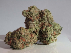 Demenz – Kann Cannabis die Symptome von Demenz lindern?