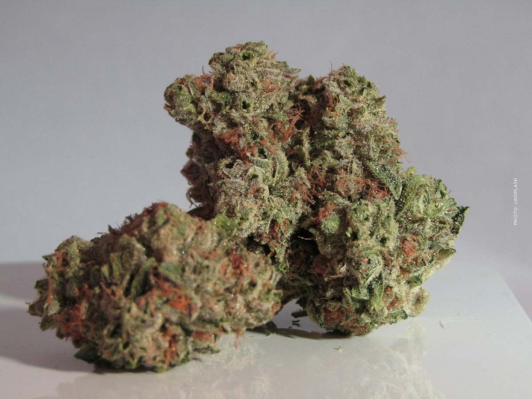 Demenz – Kann Cannabis die Symptome von Demenz lindern?