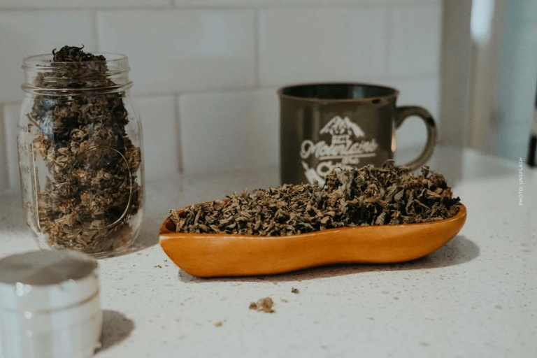 Jugendschutz und Prävention bei der Cannabis-Legalisierung