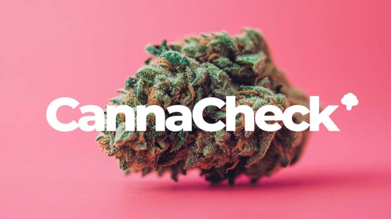 Blütenpreise, Cannabisapotheken, jetzt vergleichen und sparen, mit CannaCheck.de